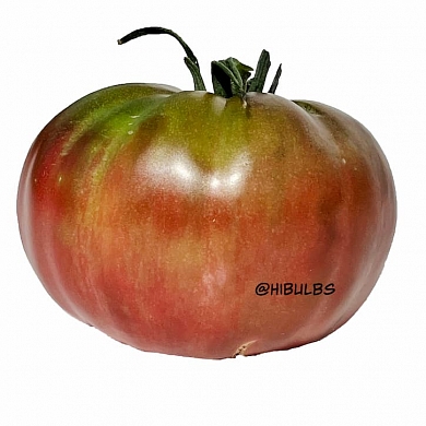 Томат Зелёная копия (Green Copia) (6шт)