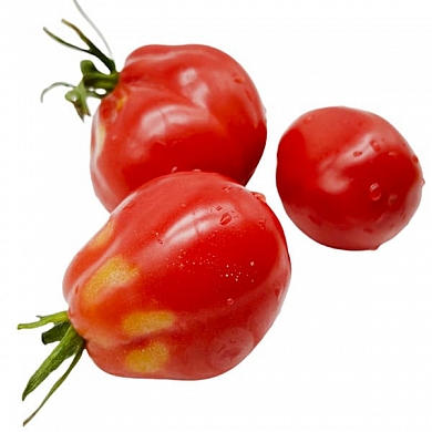 Томат Алматинский тюльпан красный (Казахстан) (6шт)