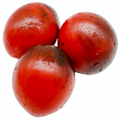 Томат Гном Дамасская сталь (Dwarf Damascus Steel) (6шт)