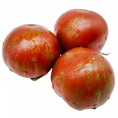 Томат Гном Энди сорок (Dwarf Andy's Forty) (6шт)