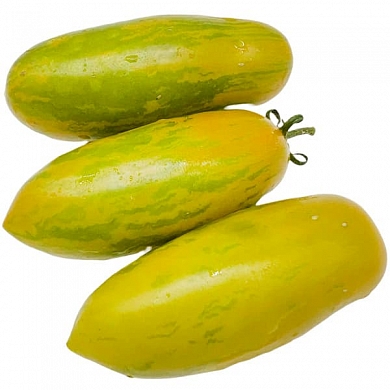 Томат Гном Фаворит Британии (Dwarf Favorie de Bretagne) (6шт)