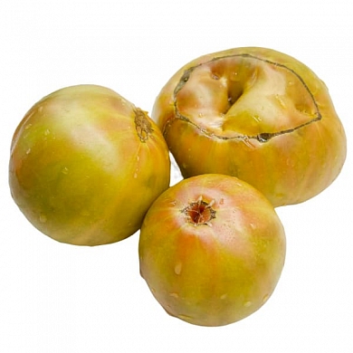 Томат Абсент (Absinthe, США) (6шт)