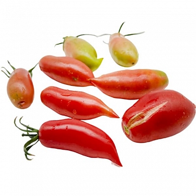 Томат Аргентинское чудо (6шт)